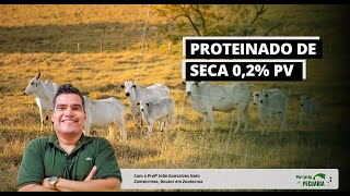 Como fazer proteinado de seca 02 PV [upl. by Puto]