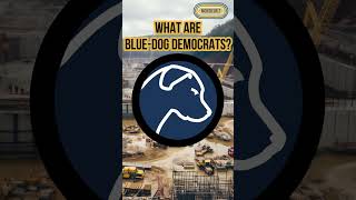 What Are BlueDog Democrats [upl. by Ives]