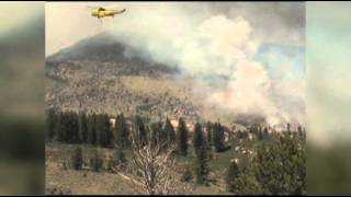 Raw Wildfires Burning in Wyoming [upl. by Anihpesoj888]