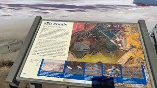 San Jose California  Alviso Marina County Park Walkthrough [upl. by Allebara102]