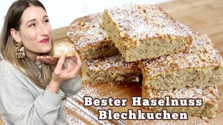 BESTER HASELNUSS BLECHKUCHEN  Nussschnitten  Schnell luftig locker einfach amp LEEEECKER [upl. by Prakash697]