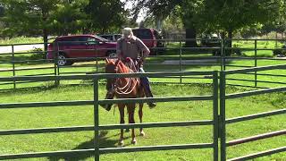 J C Martin light wade saddle evaluation with Smokie Brannaman [upl. by Aztiley]