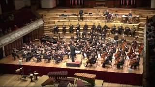 Harry Potter and the Deathly Hallows theme Auckland Symphony Orchestra Alexandre Desplat [upl. by Corb]