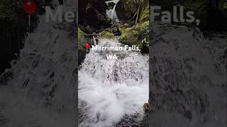 Merriman Falls  Olympic National Forest WA PNW [upl. by Noroj680]