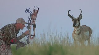 Bow Hunting Pronghorn Antelope Hardest Hunt We Have Done [upl. by Divaj]