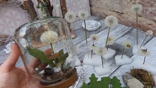 DIY die Pusteblume kommtzauberhafte DEKO im Glas komplett in Upcycling Teil 2 [upl. by Queridas401]