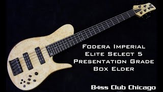 Fodera Imperial Elite Select 5 Presentation Grade Box Elder  Bass Club Chicago [upl. by Barthold]