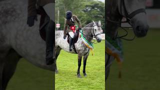 WORKING HUNTER CHAMPIONSHIP  98th Annual Connemara Pony Show connemarapony ireland pony [upl. by Itsyrc]