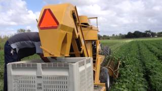 BH100 Bean Harvester [upl. by Benson]