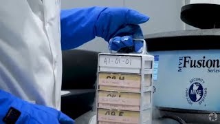 National Cryobank for Biodiversity opens at the Canadian Museum of Nature [upl. by Okire]