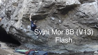 Svini Mor 8B V13 Flash [upl. by Nennahs]