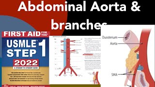 Abdominal Aorta amp Branches  Nutcracker Syndrome  Superior Mesenteric A Syndrome in HindiUrdu [upl. by Attenwad729]