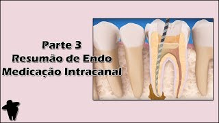 Medicação Intracanal  Hidróxido de Cálcio  Indicações e Protocolos  Aula de Endodontia [upl. by Rasaec]