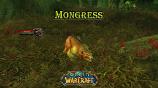 World of Warcraft  Mongress  Rare [upl. by Aerdnaed30]