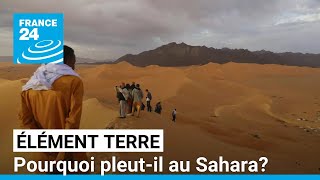 Il pleut au Sahara  Une conséquence du réchauffement climatique • FRANCE 24 [upl. by Aietal]