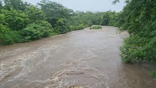 Siguen creciendo los rios por las luvias🌧en el Salvador😱 [upl. by Lu]