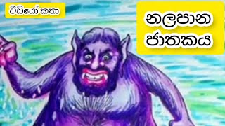 නලපාන ජාතක කතාව  nalapana jathakaya  jathaka katha sinhala  ජාතක කතා සිංහල  ජාතක කථා  jathaka [upl. by Brade]