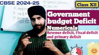 government budget and the economy class 12 numericals  Revenue deficit Fiscal and primary deficit [upl. by Devlen]