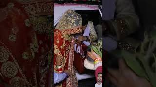 Br Ajit ji Prajapati hindi shaadi short 2024 Haryana short video [upl. by Adnomar]