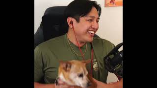 Doggo Otso Otso dog gaming twitch filipino [upl. by Dorwin487]