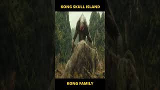 Did You Know In Kong Skull Island  Godzilla x Kong The New Empire Details [upl. by Ube447]