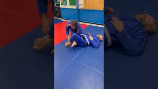 Leg locks demo  self defence BJJ Jiujitsu MMA [upl. by Nivel]