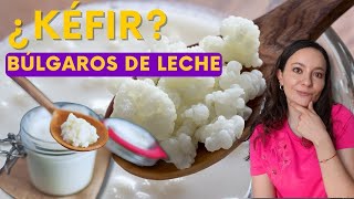 👍Beneficios de los búlgaros de leche kefir balanceandolavida [upl. by Donnie]