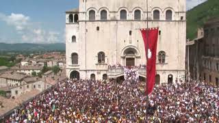 GUBBIO  Festa dei Ceri Piccoli 2023  Alzata in Piazza Grande cronacaeugubinait [upl. by Sinnod]