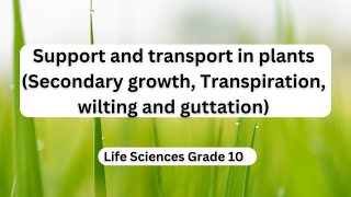 Support and transport in plants Secondary growth Transpiration wilting and guttation [upl. by Alyhc]