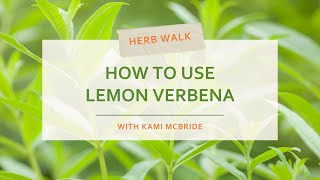 Lemon Verbena Health Benefits and Uses [upl. by Freed390]