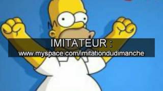 HOMER SIMPSON pour quotwouh pinaisequot sur FACEBOOK [upl. by Nadabas]