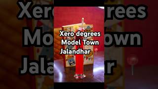 Xero degrees Model Town Jalandhar trending food viralvideo foodie [upl. by Digdirb650]