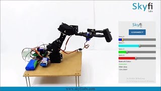 Learn to Build a Robotic Arm Mechatronics Project  Skyfi Labs [upl. by Irdua]