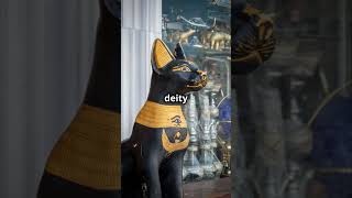 History of Cats in Ancient Egypt  catshorts Egypt history cathistory catlovers kittten cute [upl. by Ained414]