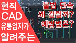 현직 캐드 유통업자가 알려주는 불법 단속 걸리는 이유와 예방법 [upl. by Natsuj]