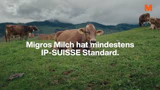 MIGROS IPSUISSE Milch [upl. by Ahcorb]