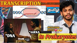 TranscriptionprokaryotestamilnotesRna synthesisprocessdiagramgene expressioncsir netDna [upl. by Inalaehak]