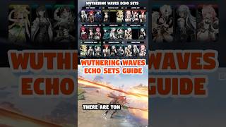 EVERY WUTHERING WAVES ECHO SET GUIDE [upl. by Nagram]