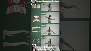 Recude bellyfat workout reducebellyfat fitnessroutineyoga weightloss and fatloss exercise athome [upl. by Noneek]