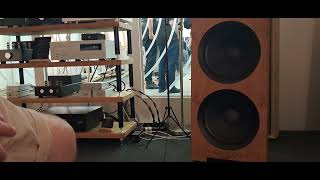 Open Baffle Design Spatial Audio Speakers Munich HighEnd 2024 [upl. by Flodur21]