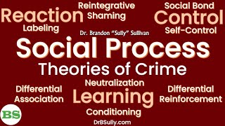 Social Process Theories of Crime  Social Learning Social Control Social Reaction [upl. by Noryd]