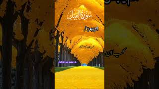 Surah AlFeel Tilawat 🥰 beautiful Quran recitation 😍youtubeshorts recitation quran [upl. by Xever]