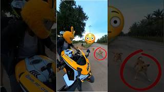 Dogs attack on rider 😈☠️ shorts dog riderlife funny vlog short youtubeshorts foryou like [upl. by Ara]