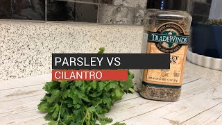 Parsley vs Cilantro [upl. by Leuname381]