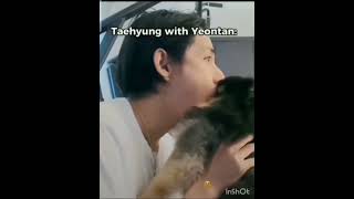 taehyung with yeontan vs jungkook with bam bamyeontanjkv [upl. by Normi]