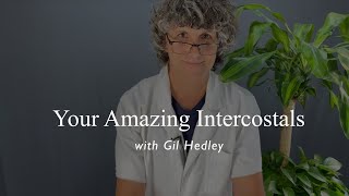 Your Amazing Intercostal Muscles  Anatomy with Gil Hedley [upl. by Ailene]