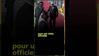 Tebboune reçu par son homologue égyptien au Caire [upl. by Oinotnaesoj]