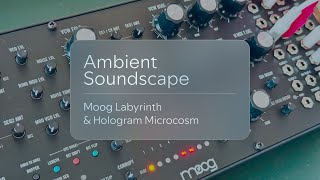 Sequencist  Generative ambient soundscape w Moog Labyrinth amp Microcosm [upl. by Stenger575]