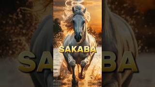 Horse name of prophet Muhammad SAWislmicvideo shortfeed top [upl. by Inwat]