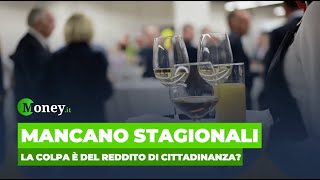 Mancano lavoratori stagionali la colpa è del reddito di cittadinanza [upl. by Ikiv966]